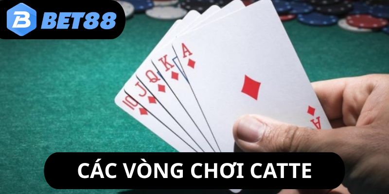 cach-choi-bai-catte-cac-vong-cuoc