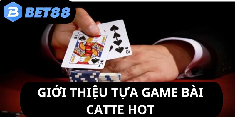 cach-choi-bai-catte-gioi-thieu