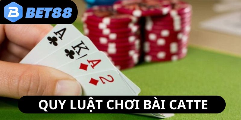 cach-choi-bai-catte-quy-luat
