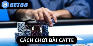 cach-choi-bai-catte-thumb