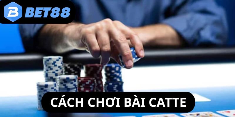 cach-choi-bai-catte-thumb
