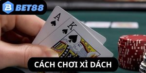 cach-choi-xi-dach-anh-dai-dien