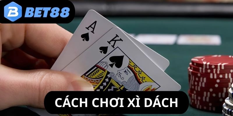 cach-choi-xi-dach-anh-dai-dien