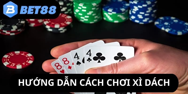 huong-dan-chi-tiet-cach-choi-xi-dach-danh-cho-nguoi-moi