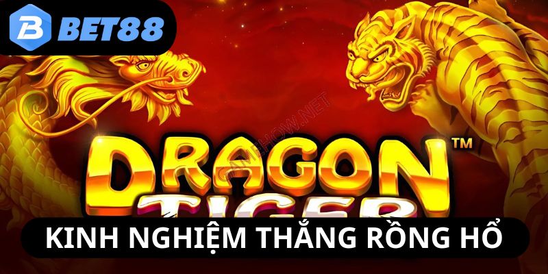 kinh-nghiem-chien-thang-game-rong-ho-ma-hoi-vien-nen-hoc-hoi