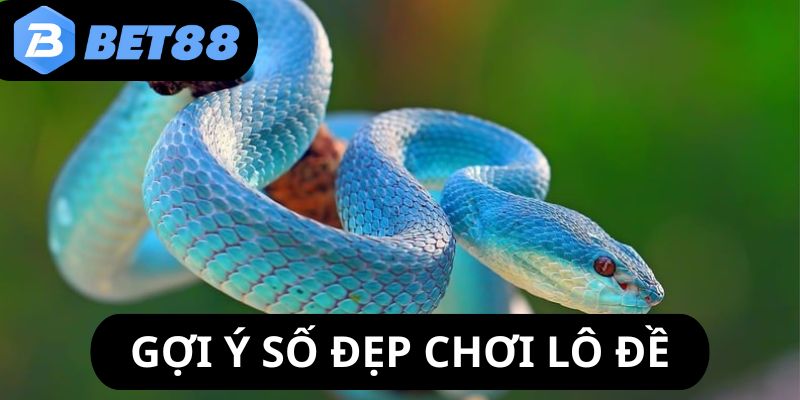 mo-thay-ran-can-goi-y-so-dep