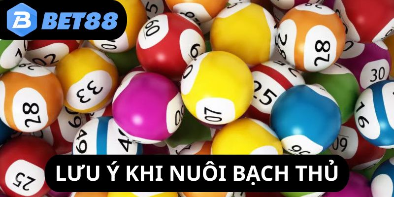 nuoi-lo-bach-thu-chu-y