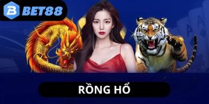 rong-ho-anh-dai-dien