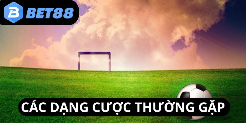ty-le-keo-nha-cai-cac-dang-thuong-gap
